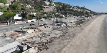 Malibu, ’emotionally and physically scarred,’ is suing California, L.A., others over Palisades fire