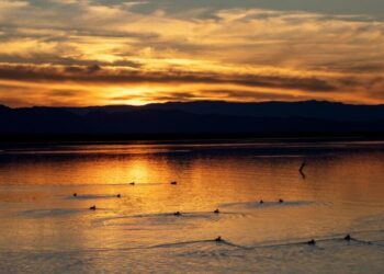 Southern California man charged with murder of missing teen after remains found in Salton Sea area