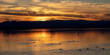 Southern California man charged with murder of missing teen after remains found in Salton Sea area