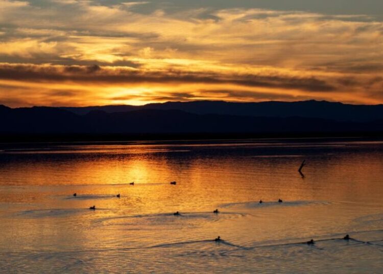 Southern California man charged with murder of missing teen after remains found in Salton Sea area