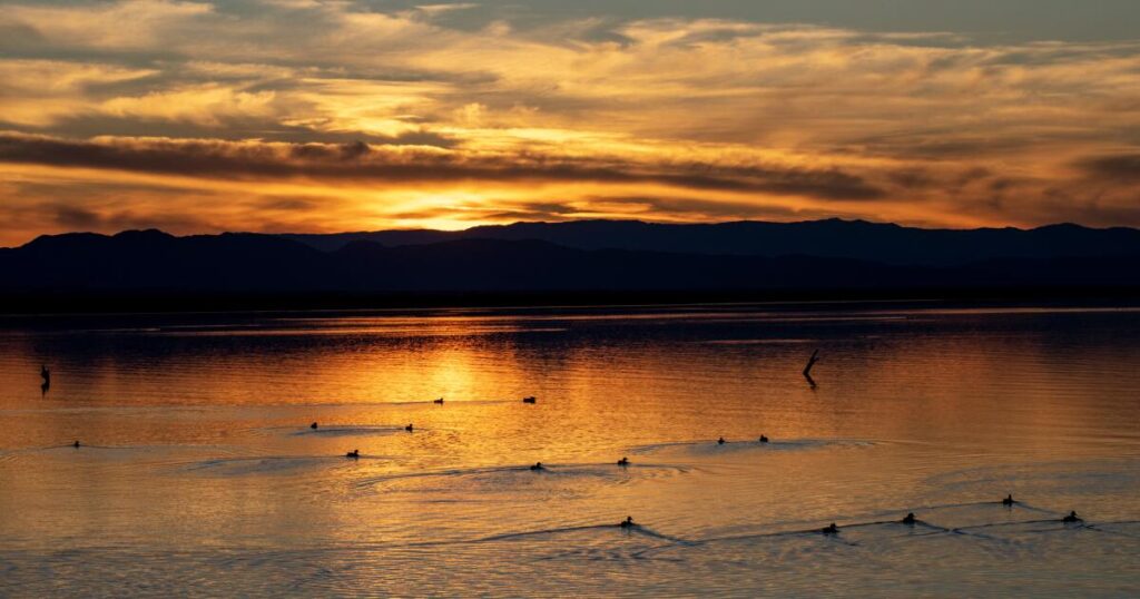 Southern California man charged with murder of missing teen after remains found in Salton Sea area