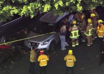 SUV barrels into downtown Los Angeles flower district vendor, injuring 6