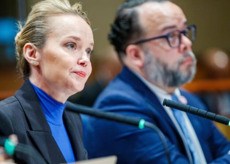 New Orleans City Council bans data centers for a year after concerns over potential development