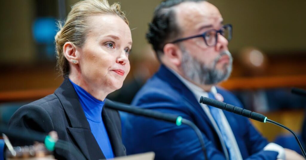 New Orleans City Council bans data centers for a year after concerns over potential development