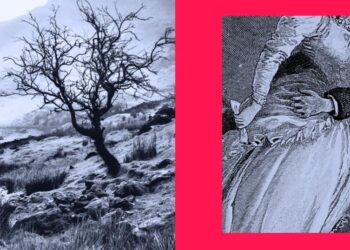 Worship, revenge and red flags: 6 authors on why we can’t quit ‘Wuthering Heights’ and Heathcliff