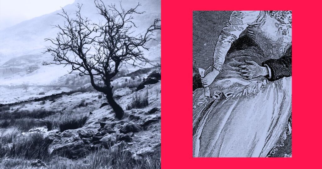 Worship, revenge and red flags: 6 authors on why we can’t quit ‘Wuthering Heights’ and Heathcliff