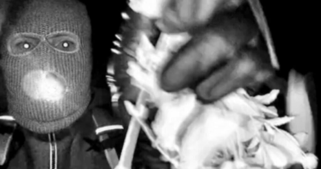 Investigators search Tucson home in Nancy Guthrie kidnapping case