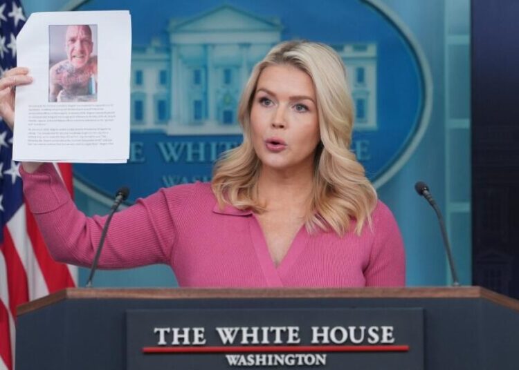 Minneapolis man is arrested on suspicion of threatening and cyberstalking ICE officers