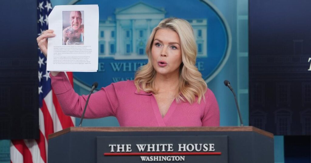 Minneapolis man is arrested on suspicion of threatening and cyberstalking ICE officers