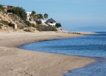 Don’t let natural gas exports wreck the Gulf of California ecosystem