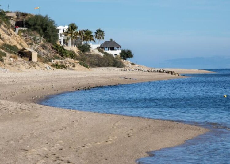 Don’t let natural gas exports wreck the Gulf of California ecosystem