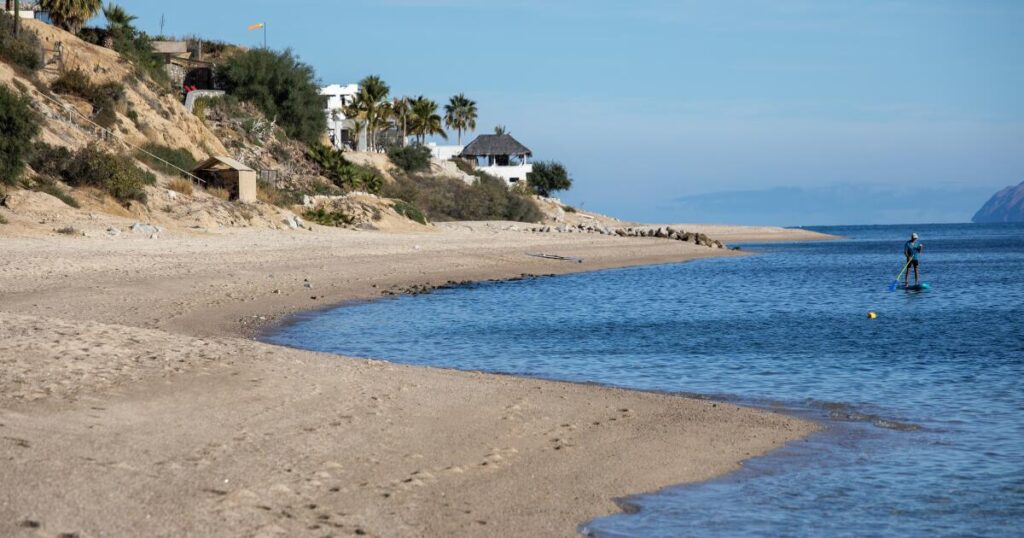 Don’t let natural gas exports wreck the Gulf of California ecosystem