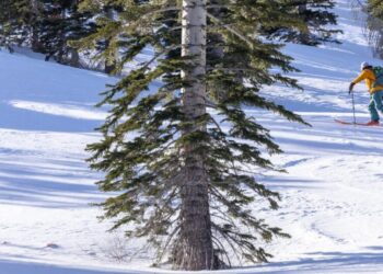 The perils and pleasures of backcountry skiing: why some take the risk