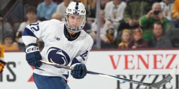 Top NHL prospect Gavin McKenna facing misdemeanor assault charge after felony charge is withdrawn