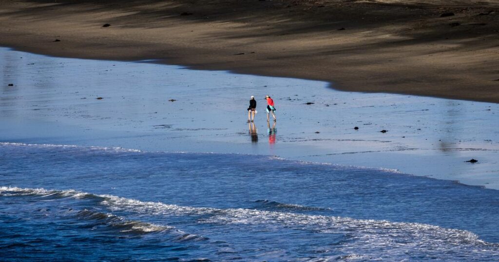 Should some L.A. beaches be a national park? It’s being studied. Here’s how you can weigh in