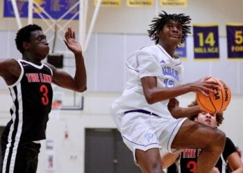 Popoola twins lead Palisades to City Section Open Division boys’ basketball title