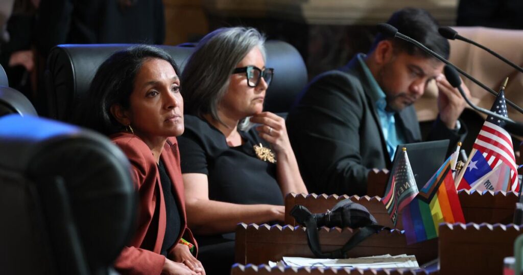 L.A. mayoral candidate Nithya Raman’s record may surprise you