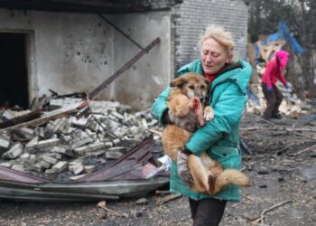 Zelensky says Ukrainian air force needs to improve as Russian drone barrages take a toll