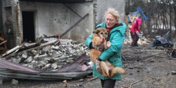 Zelensky says Ukrainian air force needs to improve as Russian drone barrages take a toll