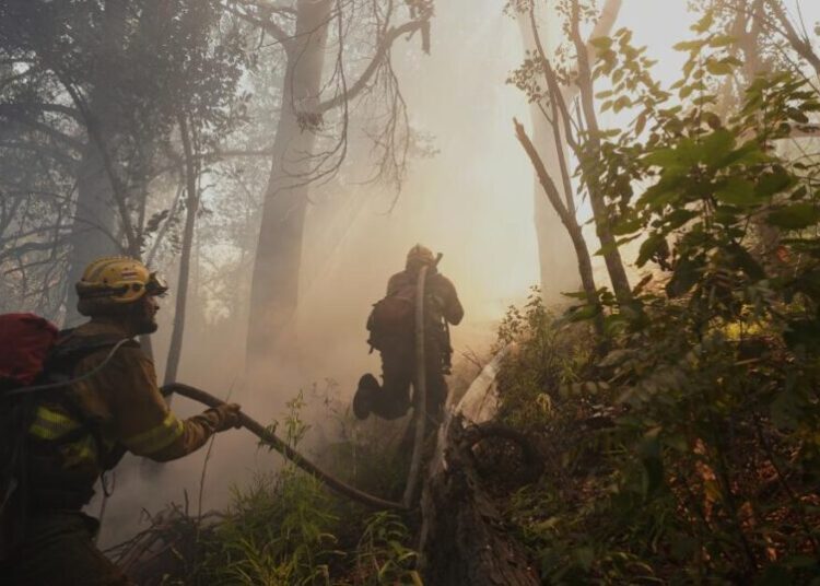 Argentina fires ravage pristine Patagonia forests, fueling criticism of Milei’s austerity