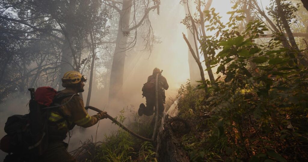 Argentina fires ravage pristine Patagonia forests, fueling criticism of Milei’s austerity