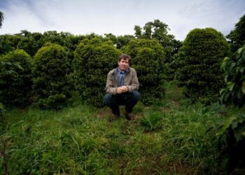 California coffee growing pioneers die of unknown causes, leaving behind 3 children