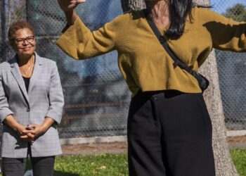 Bass helped Raman win reelection. Now Raman wants to unseat her. Some call it ‘a betrayal’