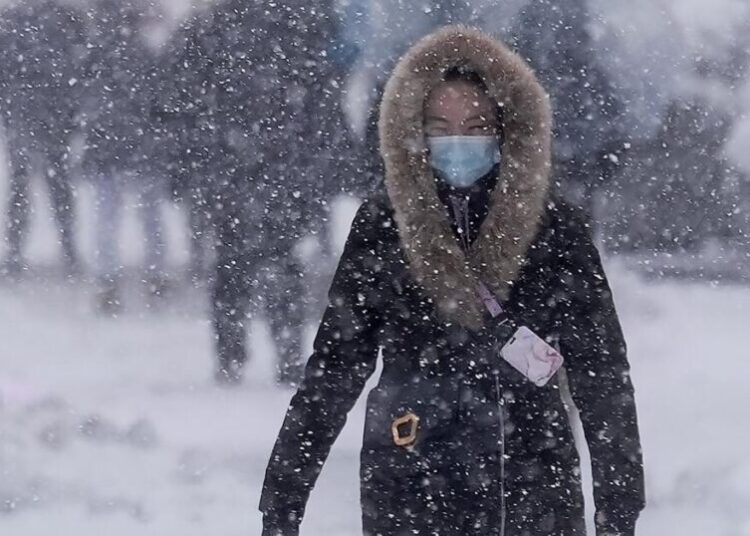 Blizzard warnings and travel shutdowns trap millions at home in northeastern U.S.