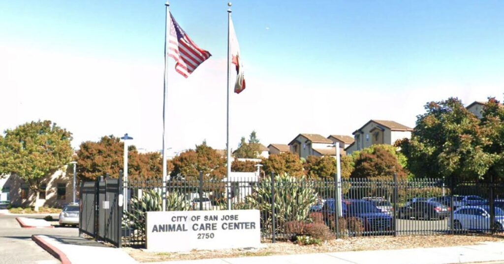 Viral Facebook post said a dog was about to be put down at a San José shelter. It was an AI hoax