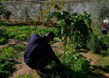 Israeli minister calls West Bank measures ‘de facto sovereignty,’ says no future Palestinian state