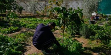 Israeli minister calls West Bank measures ‘de facto sovereignty,’ says no future Palestinian state