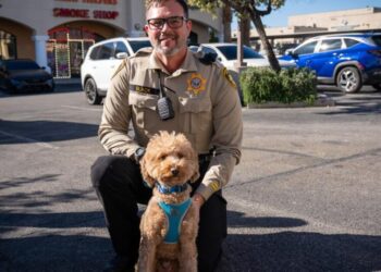 Adorable goldendoodle abandoned at airport is adopted by cop who rescued her