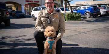 Adorable goldendoodle abandoned at airport is adopted by cop who rescued her