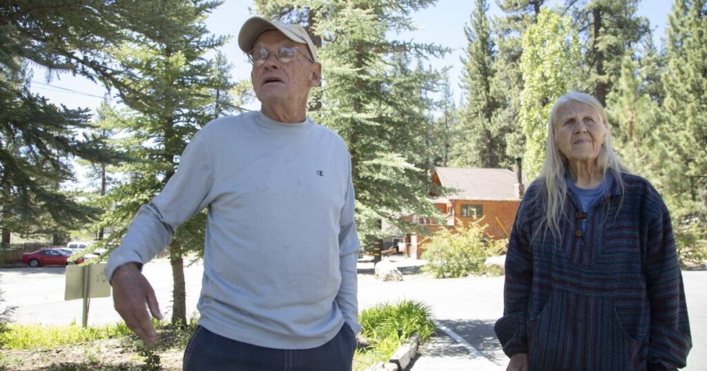 Eagle champion Sandy Steers, who fought big developments throughout Big Bear, has died