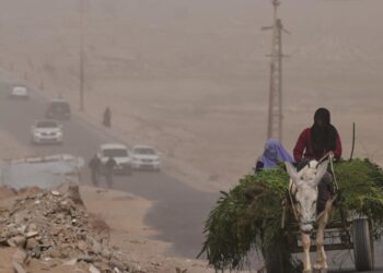 Aid group suspends some work at Gaza hospital, citing armed men