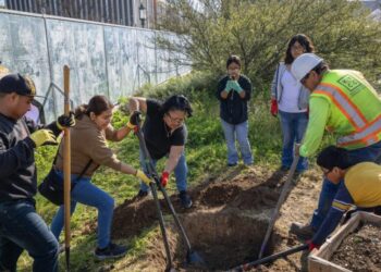 Nearly half of L.A County’s pavement may be unnecessary, new map finds