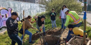 Nearly half of L.A County’s pavement may be unnecessary, new map finds
