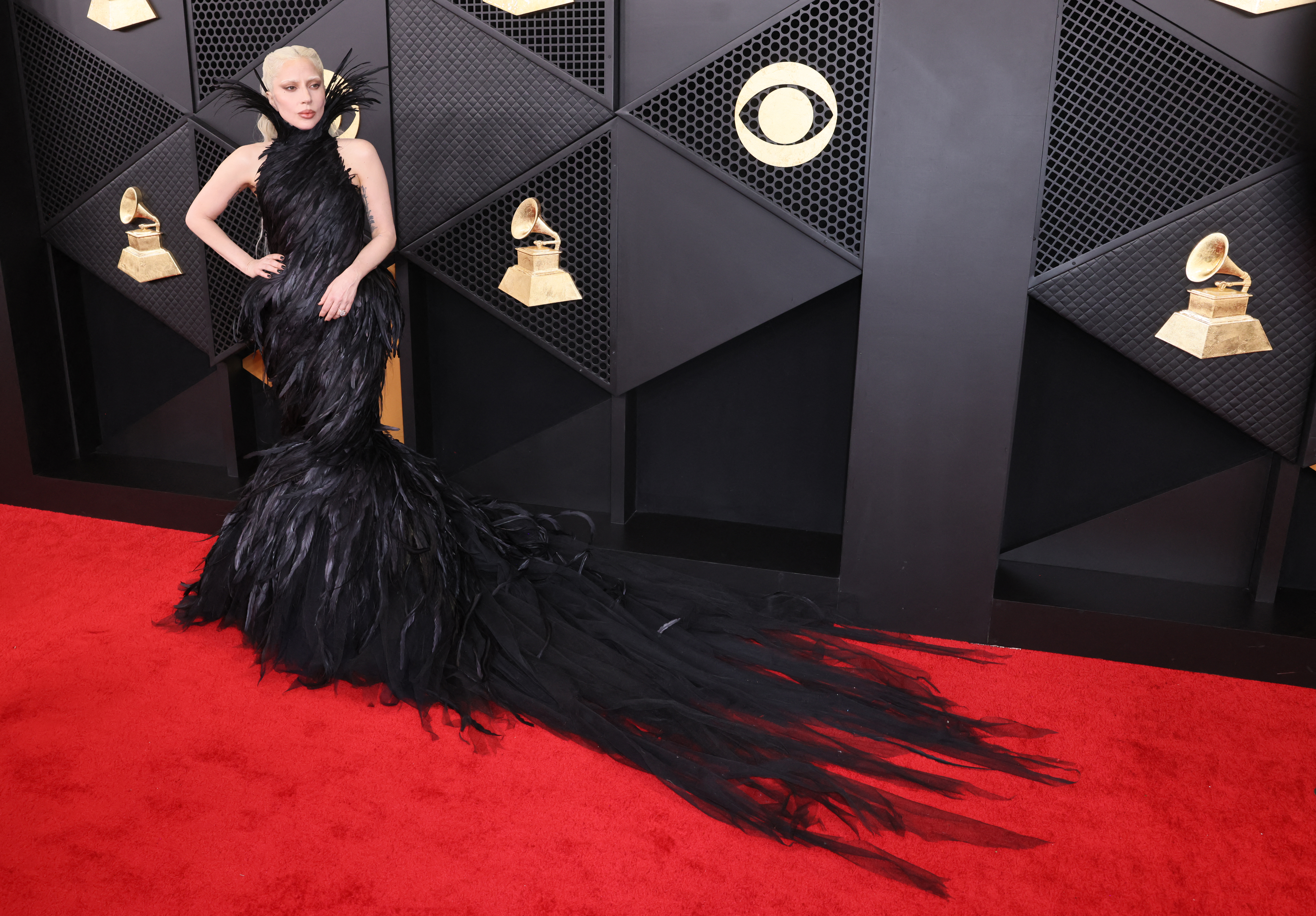 Lady Gaga on the red carpet wearing a black feather gown with a long train.