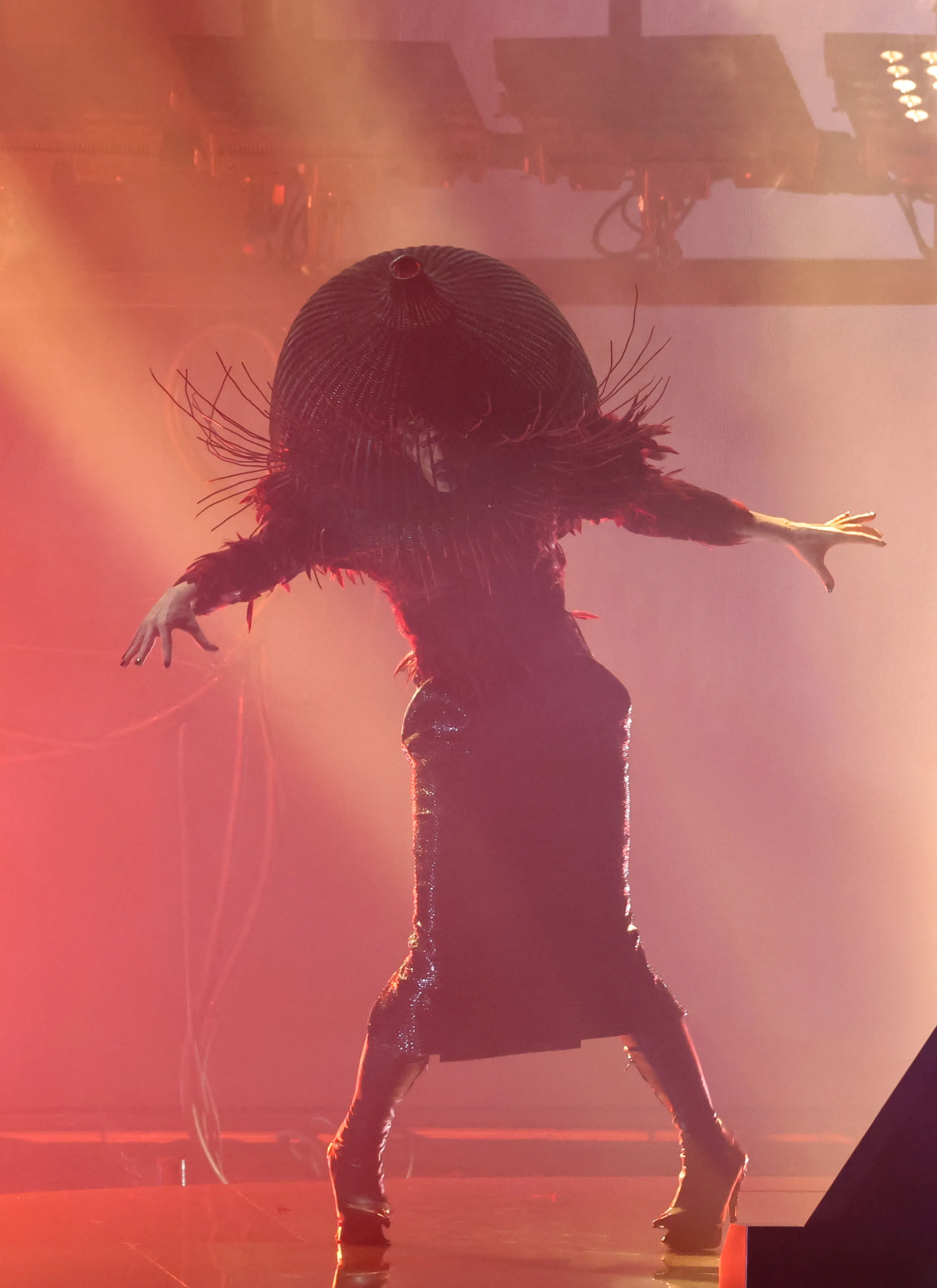 Lady Gaga at the Grammys.