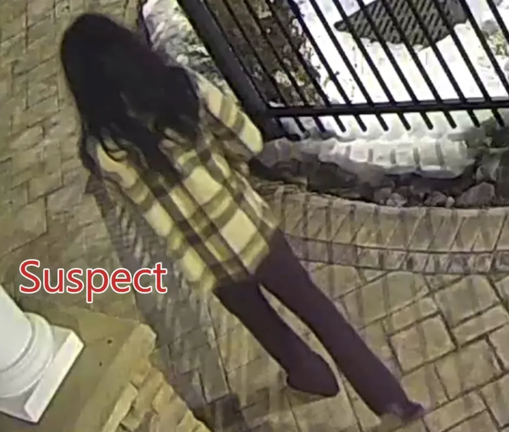 James is accused of disguising himself in long female wigs and executing an 87-year-old millionaire philanthropist.