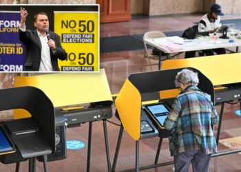 Let the voters decide voter ID