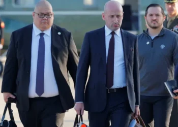 ‘All he can do is humiliate himself’: Trump official hammered after using offensive slur