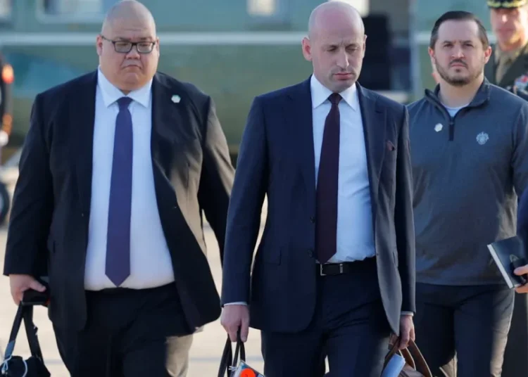 ‘All he can do is humiliate himself’: Trump official hammered after using offensive slur