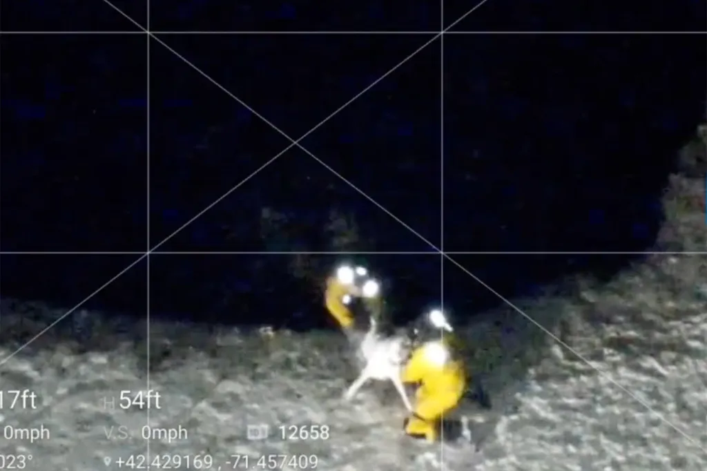 Without hesitation, the dog swam to his savior, as both firefighters lifted the large dog out of the ice-cold water.