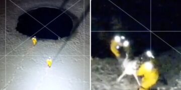 Massachusetts firefighters slide into frozen pond to rescue trapped dog