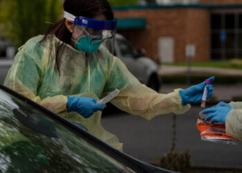 Scientists Get a Glimpse to How New Pandemics Are Made