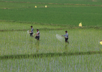 How War in the Middle East Could Sow Hunger