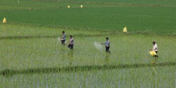 How War in the Middle East Could Sow Hunger