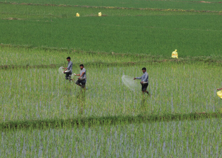 How War in the Middle East Could Sow Hunger