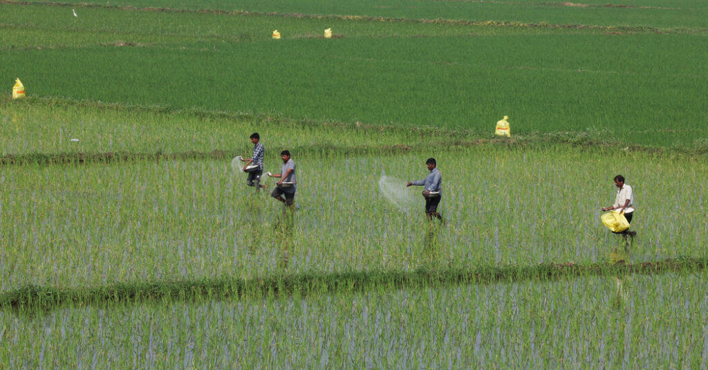 How War in the Middle East Could Sow Hunger